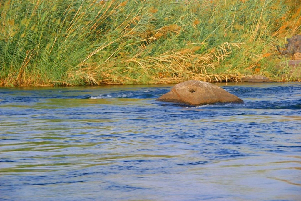 Foto de Aswan, Egipto