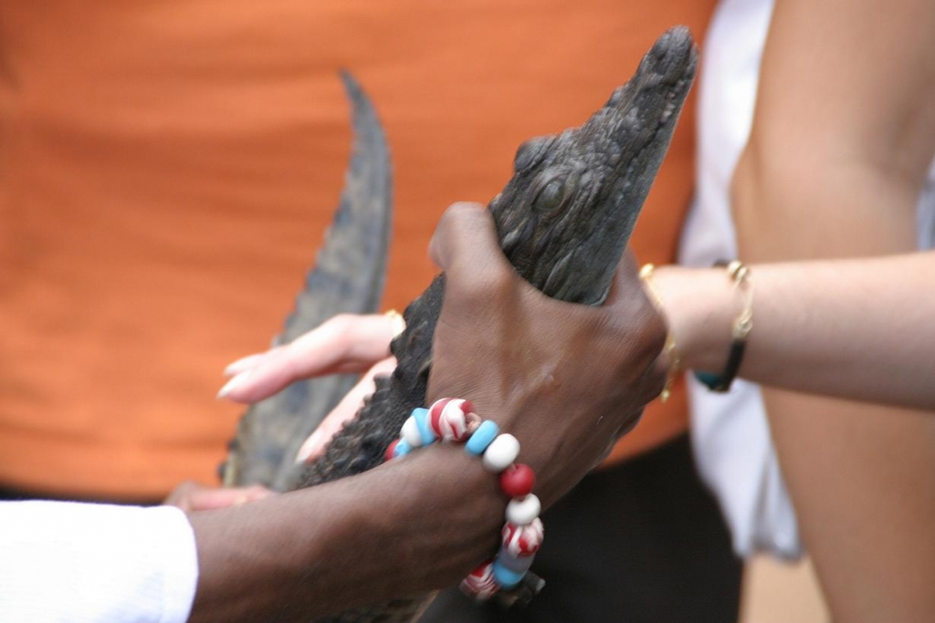 Foto de Aswan, Egipto