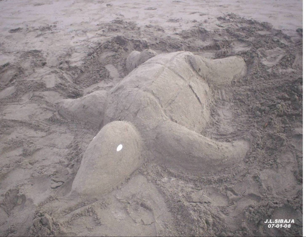 Foto de Puntarenas, Costa Rica