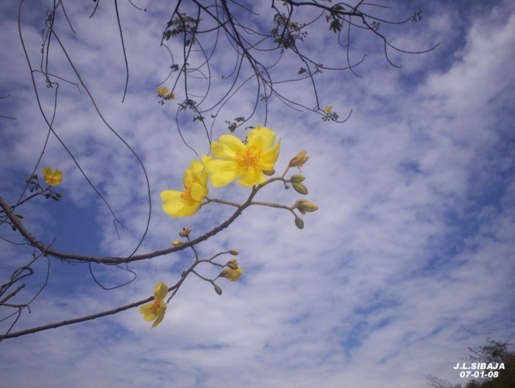 Foto de Puntarenas, Costa Rica