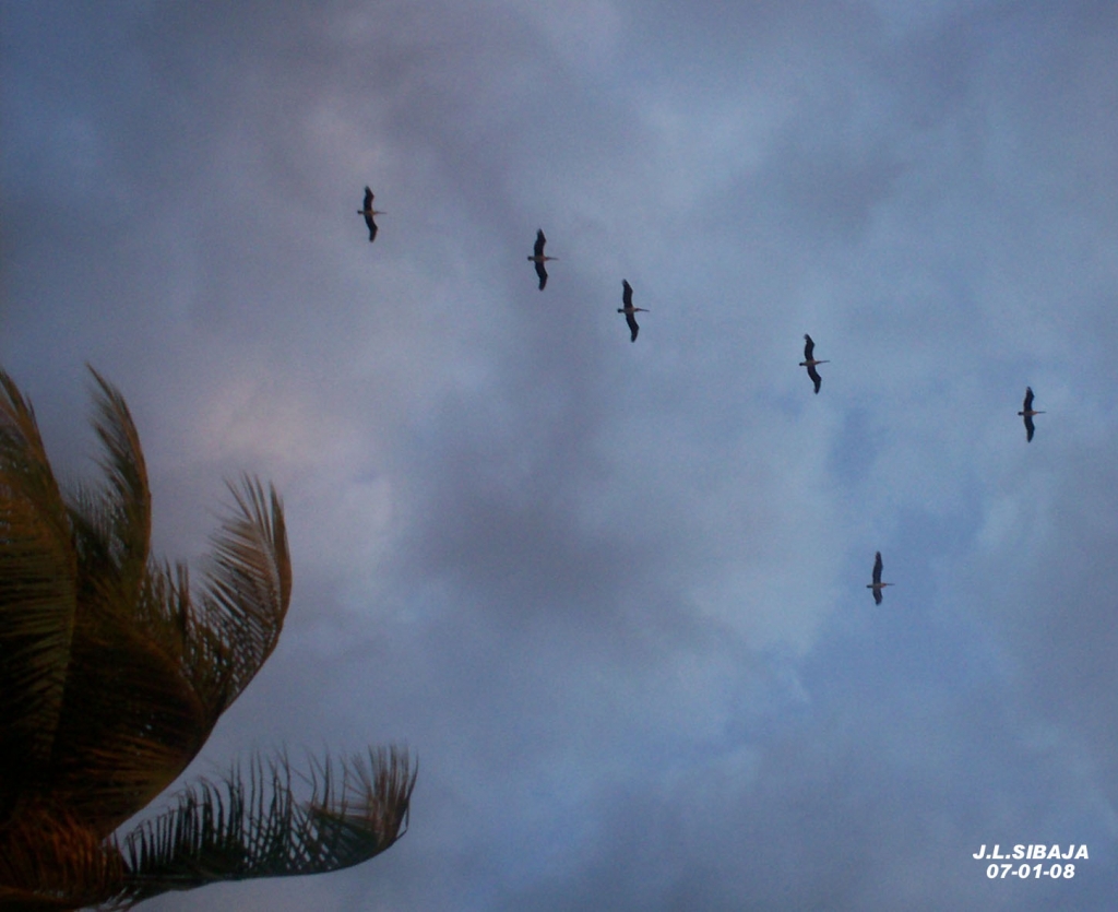 Foto de Puntarenas, Costa Rica