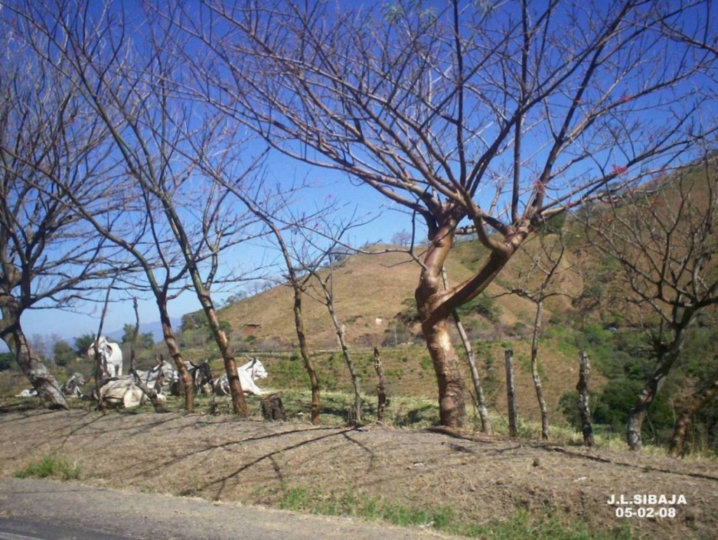 Foto de Puriscal, San José, Costa Rica