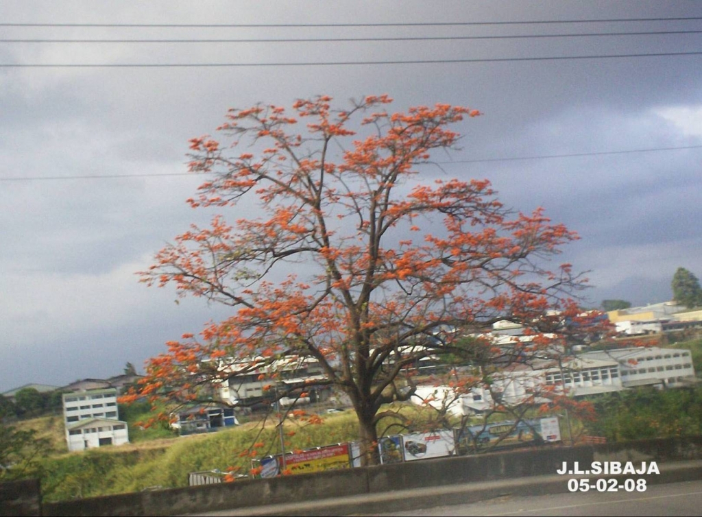 Foto de Puriscal, San José, Costa Rica