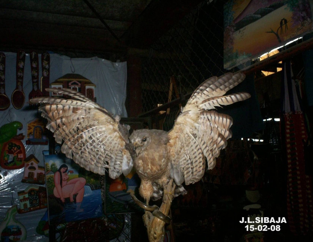 Foto de Masaya, Nicaragua