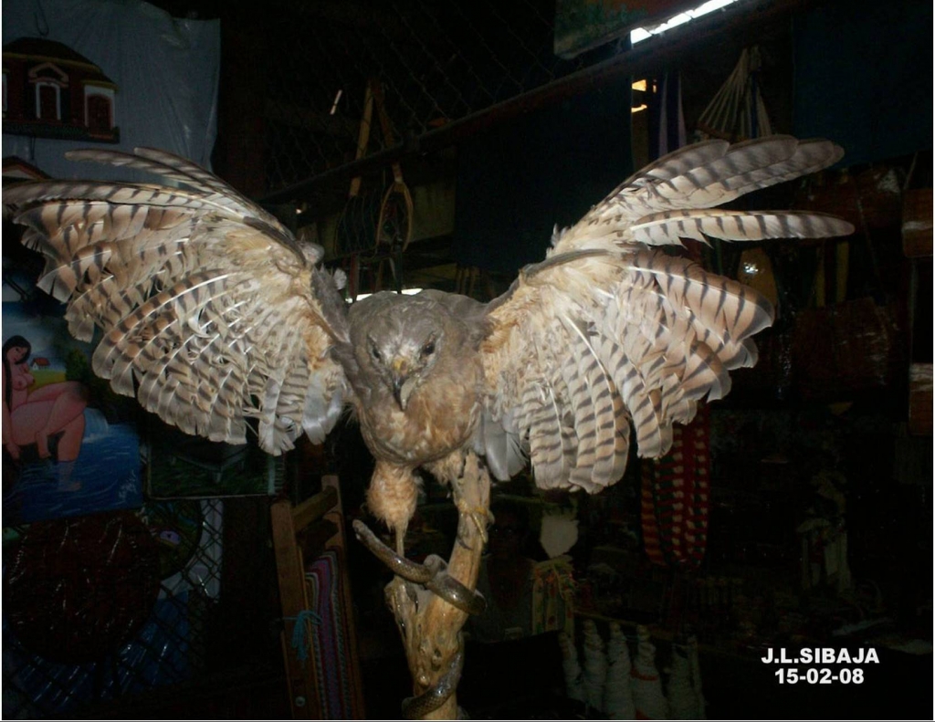 Foto de Masaya, Nicaragua