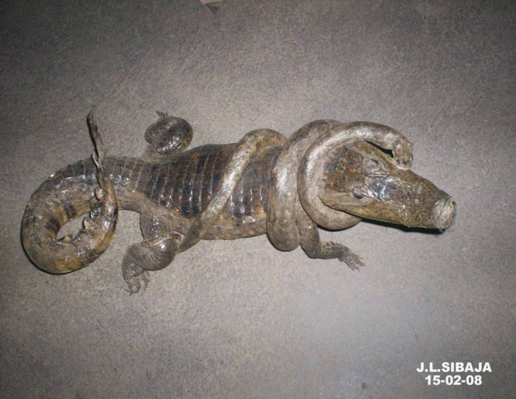 Foto de Masaya, Nicaragua