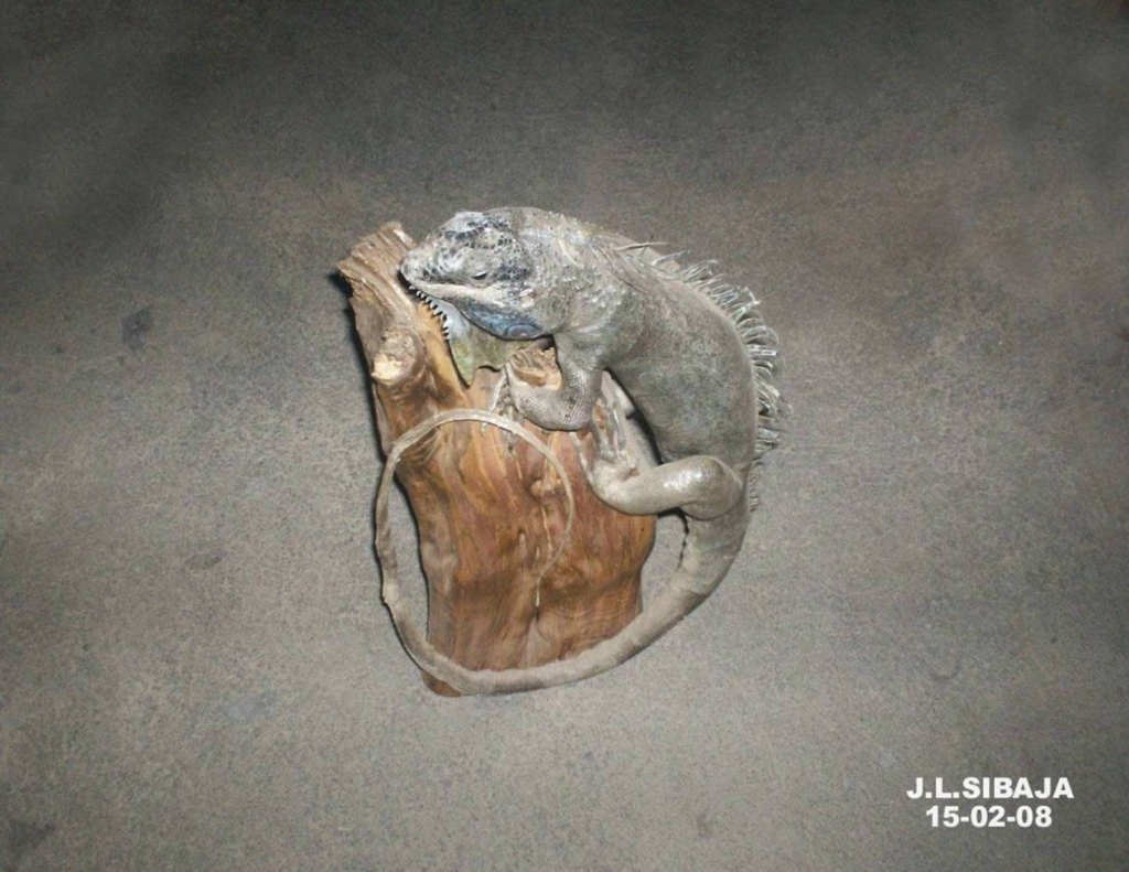 Foto de Masaya, Nicaragua