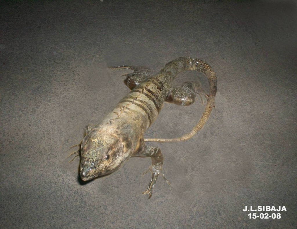 Foto de Masaya, Nicaragua