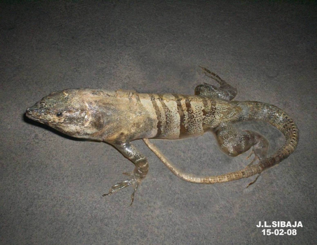 Foto de Masaya, Nicaragua