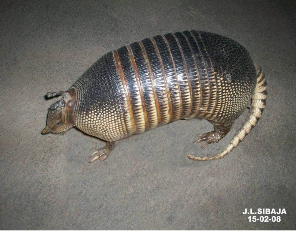 Foto de Masaya, Nicaragua