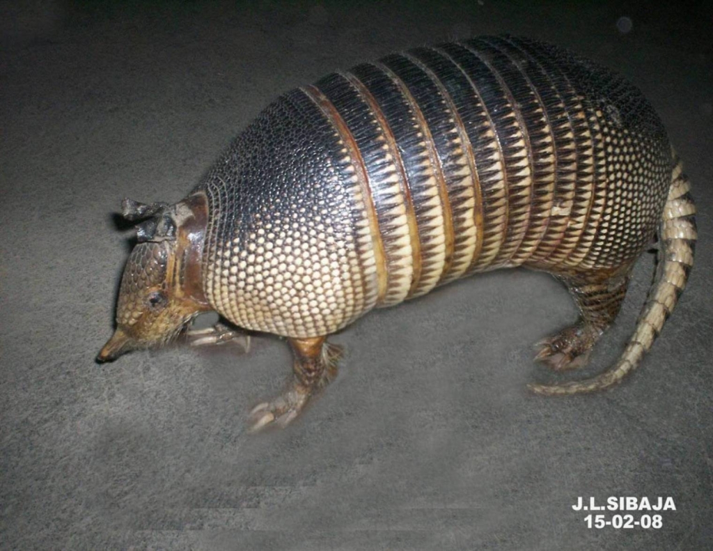Foto de Masaya, Nicaragua