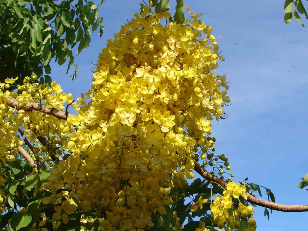 Foto de Puntarenas, Costa Rica