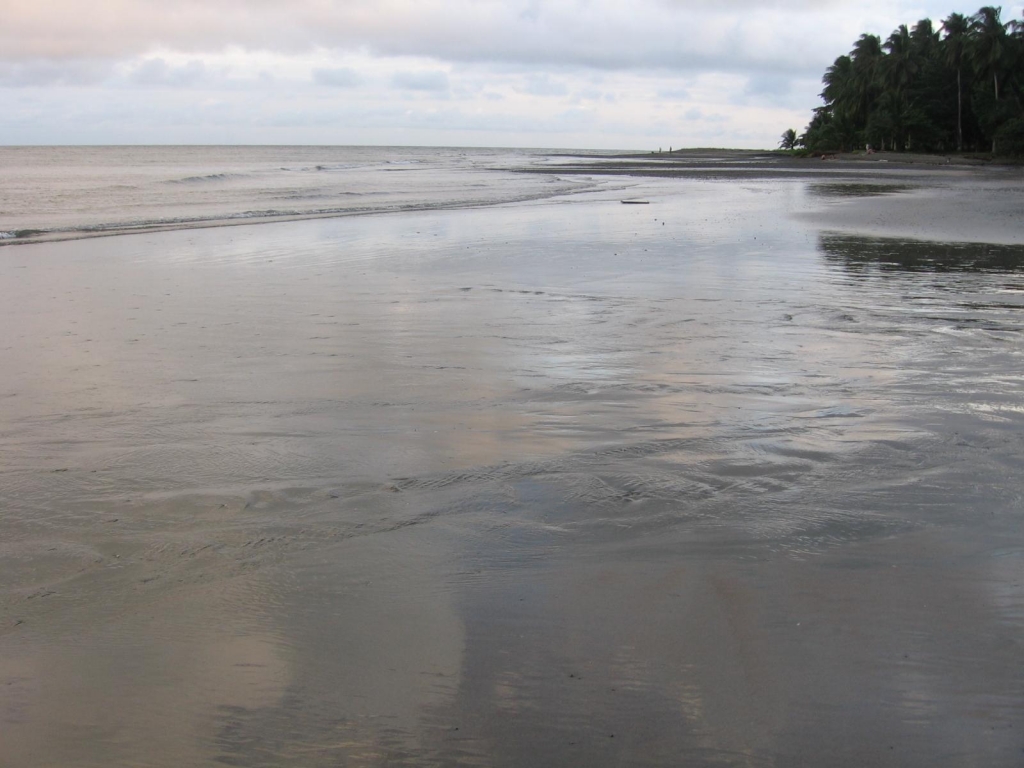 Foto de Isla Gorgona, Colombia