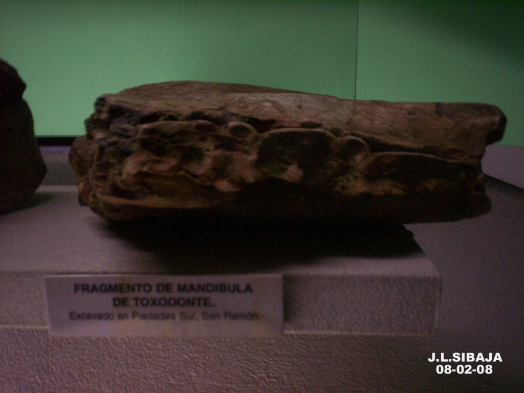 Foto de San José, Costa Rica