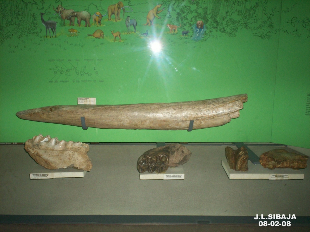 Foto de San José, Costa Rica