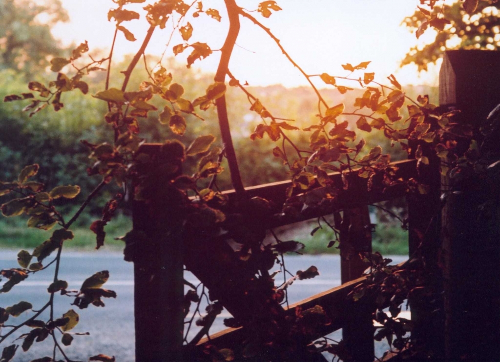 Foto de Oughterard (Galway), Irlanda