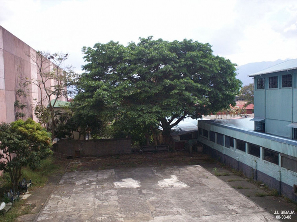 Foto de San José, Costa Rica