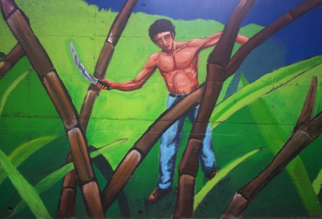 Foto de San Martín (Alajuela), Costa Rica