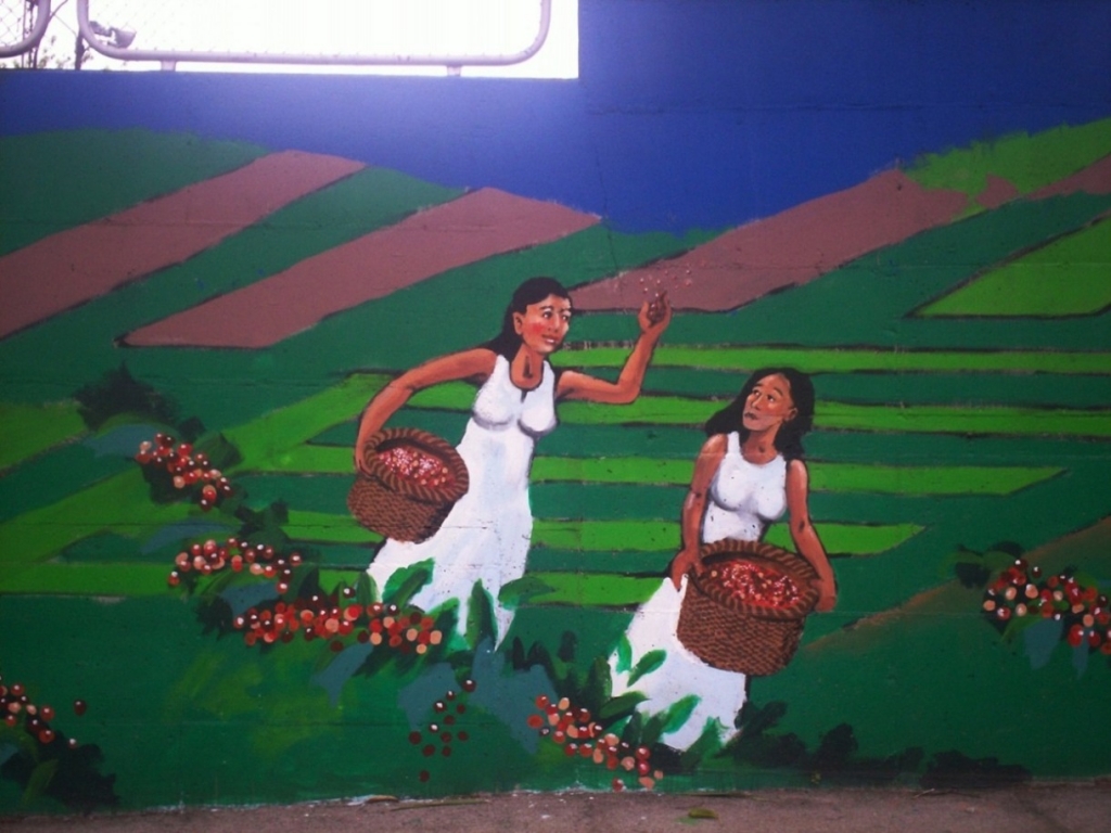 Foto de San Martín (Alajuela), Costa Rica