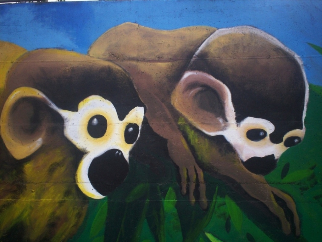 Foto de San Martín (Alajuela), Costa Rica