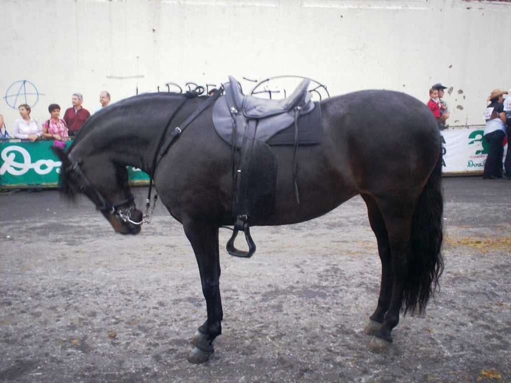 Foto: TOPE, ALAJUELA. - Alajuela, Costa Rica