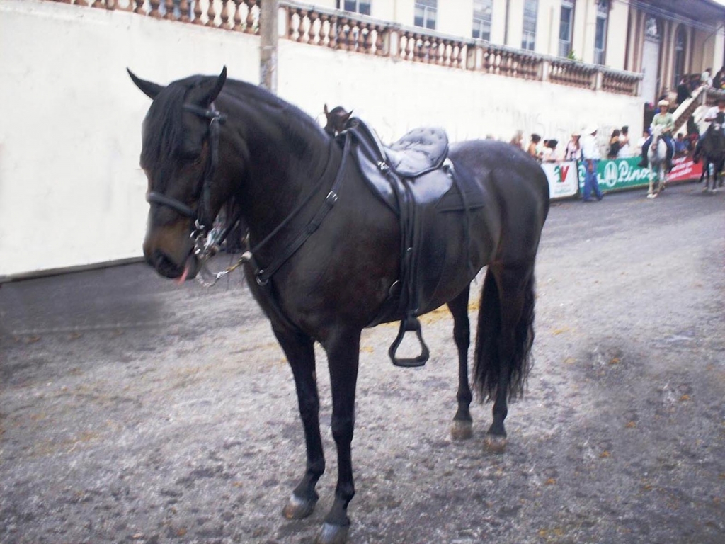 Foto: TOPE, ALAJUELA. - Alajuela, Costa Rica