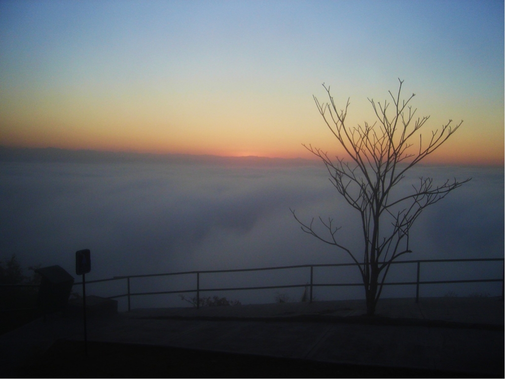 Foto de Mazatlan, Sinaloa, México