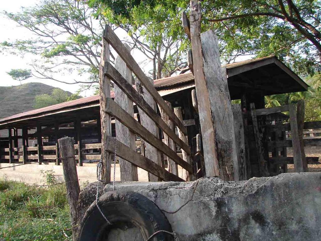 Foto de Lepanto - Puntarenas, Costa Rica