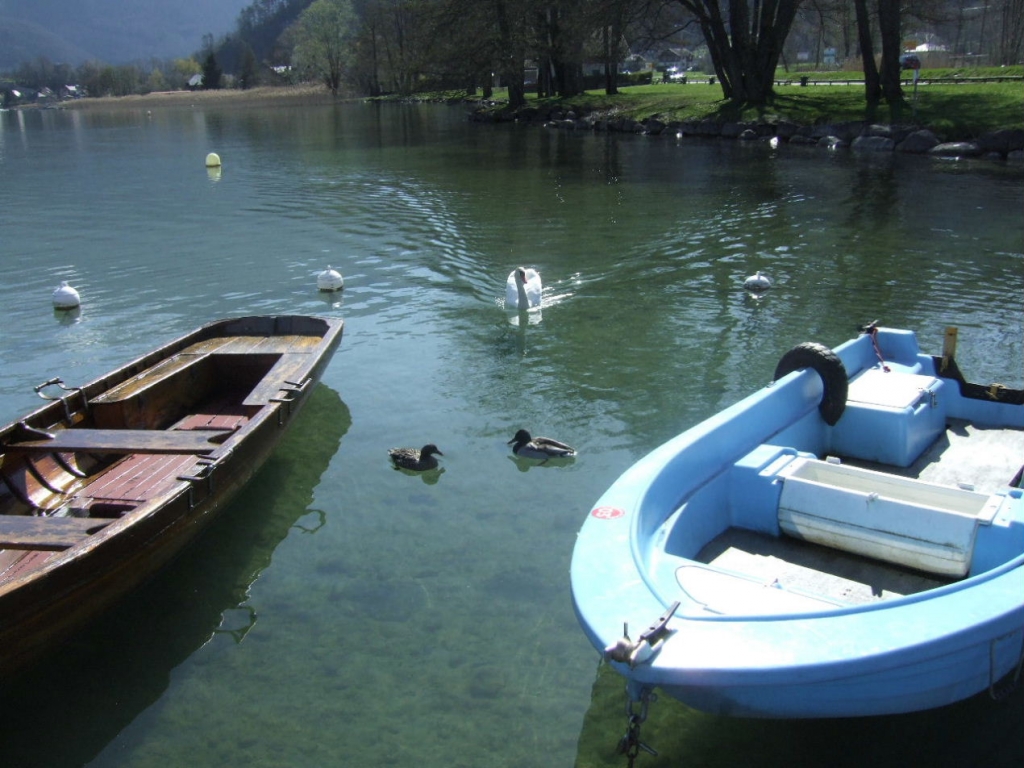 Foto de Duingt, Francia