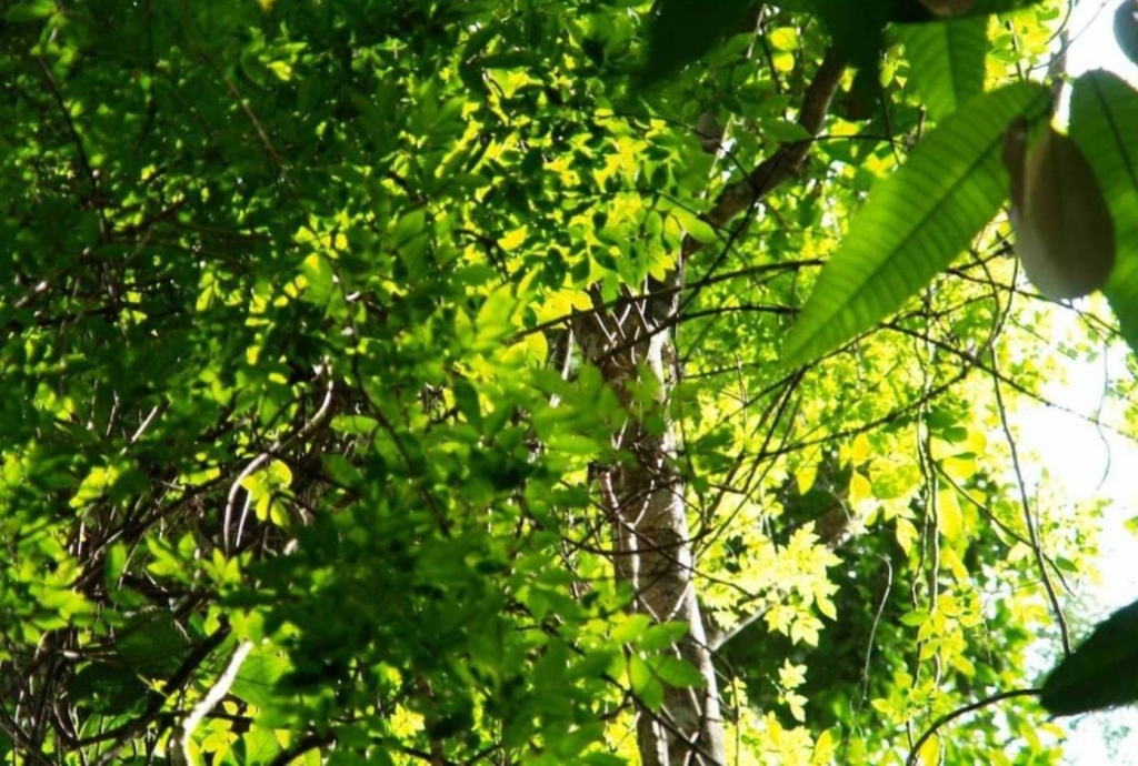 Foto de Puriscal (San José), Costa Rica