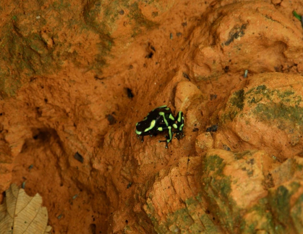 Foto de Puriscal (San José), Costa Rica