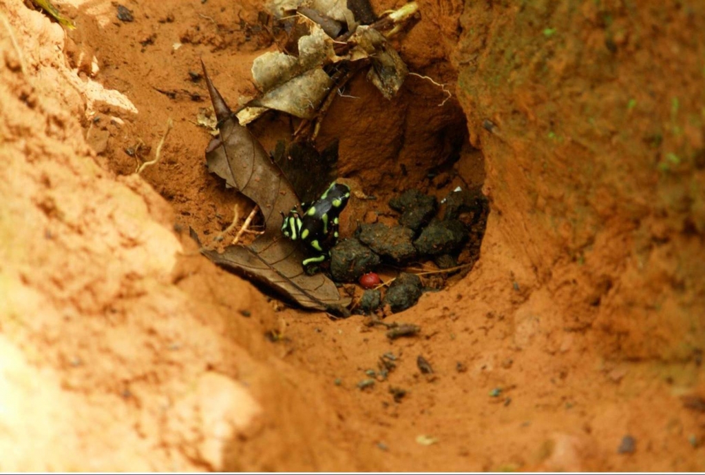 Foto de Puriscal (San José), Costa Rica