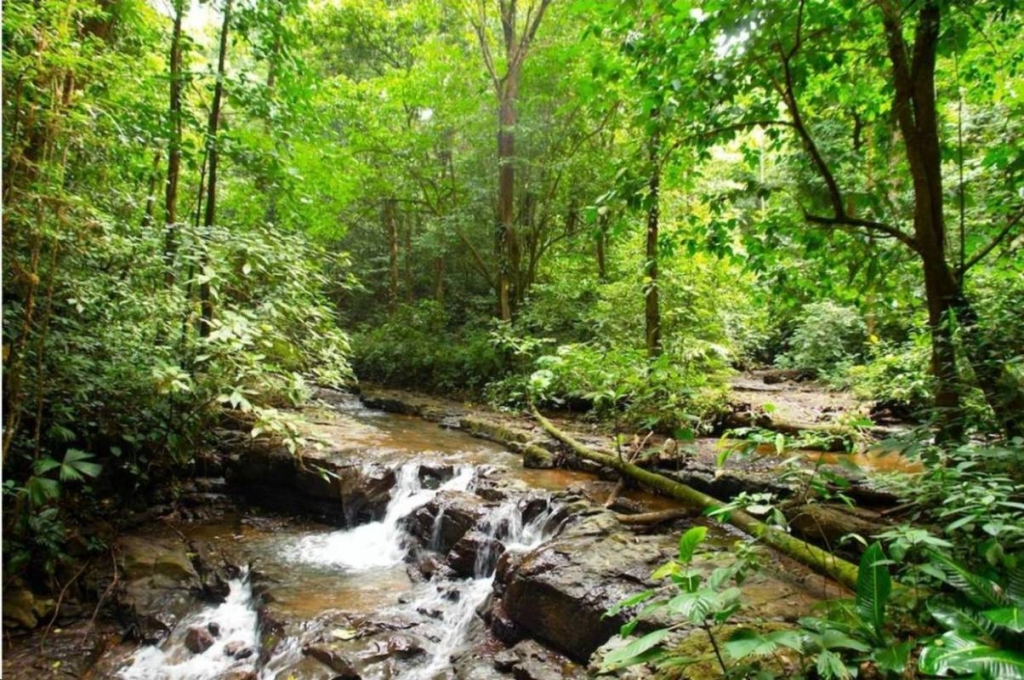 Foto de Puriscal (San José), Costa Rica