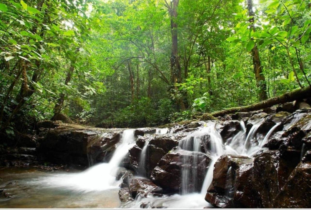 Foto de Puriscal (San José), Costa Rica