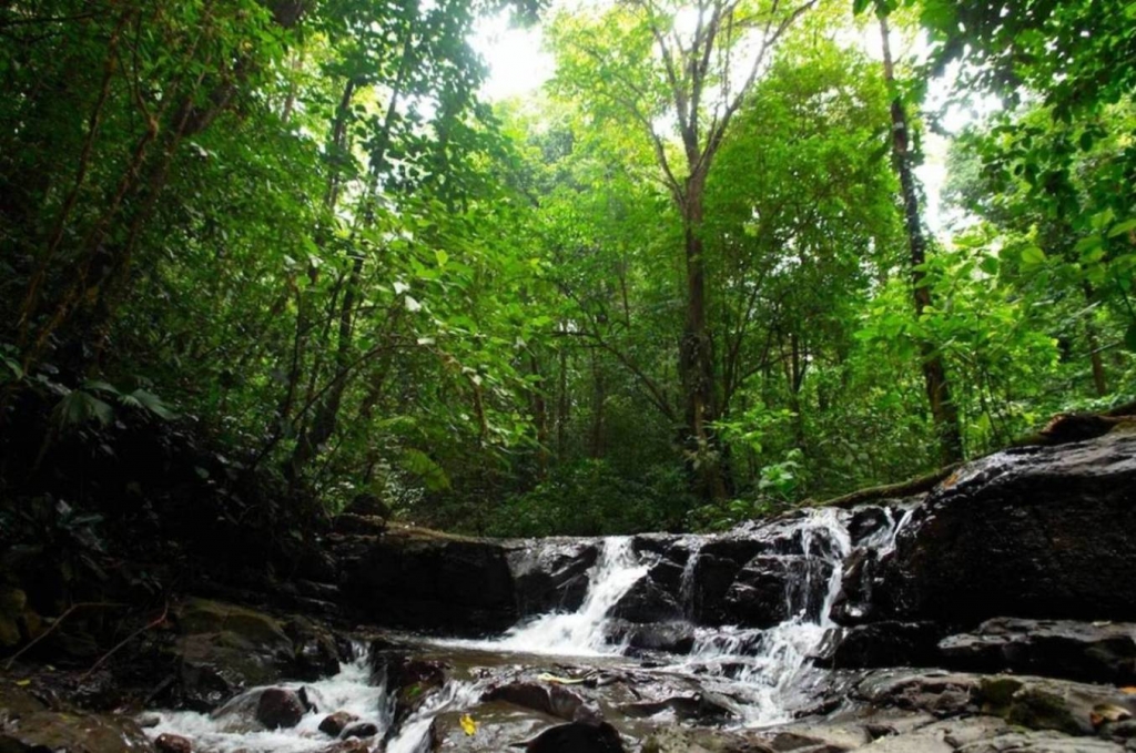 Foto de Puriscal (San José), Costa Rica