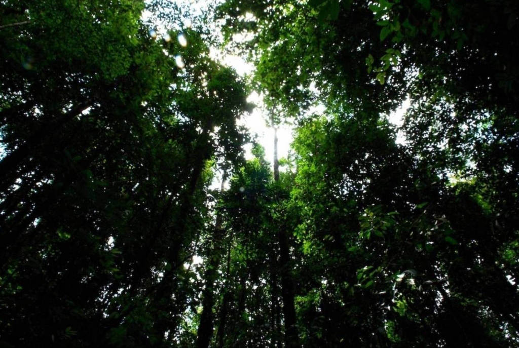 Foto de Puriscal (San José), Costa Rica