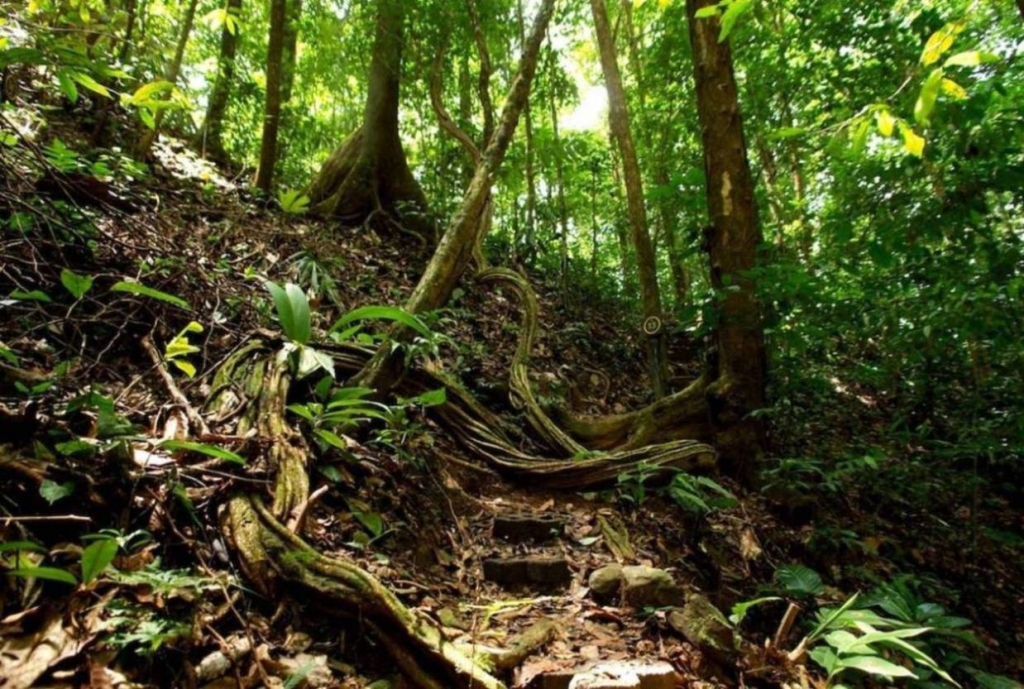 Foto de Puriscal (San José), Costa Rica