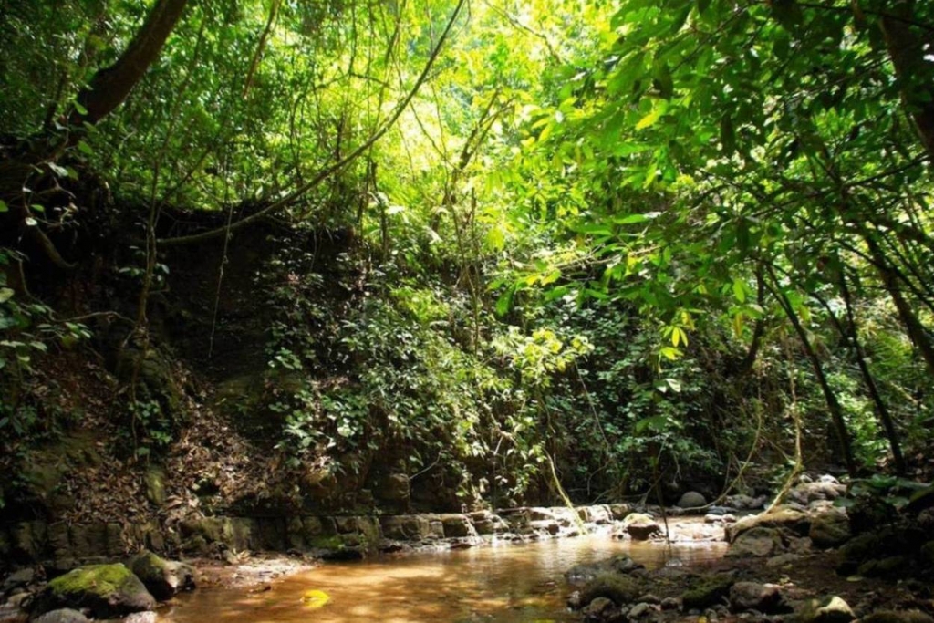 Foto de Puriscal (San José), Costa Rica