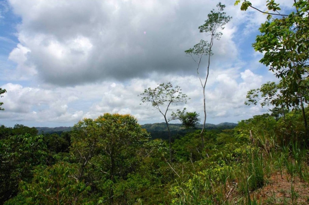 Foto de Puriscal (San José), Costa Rica