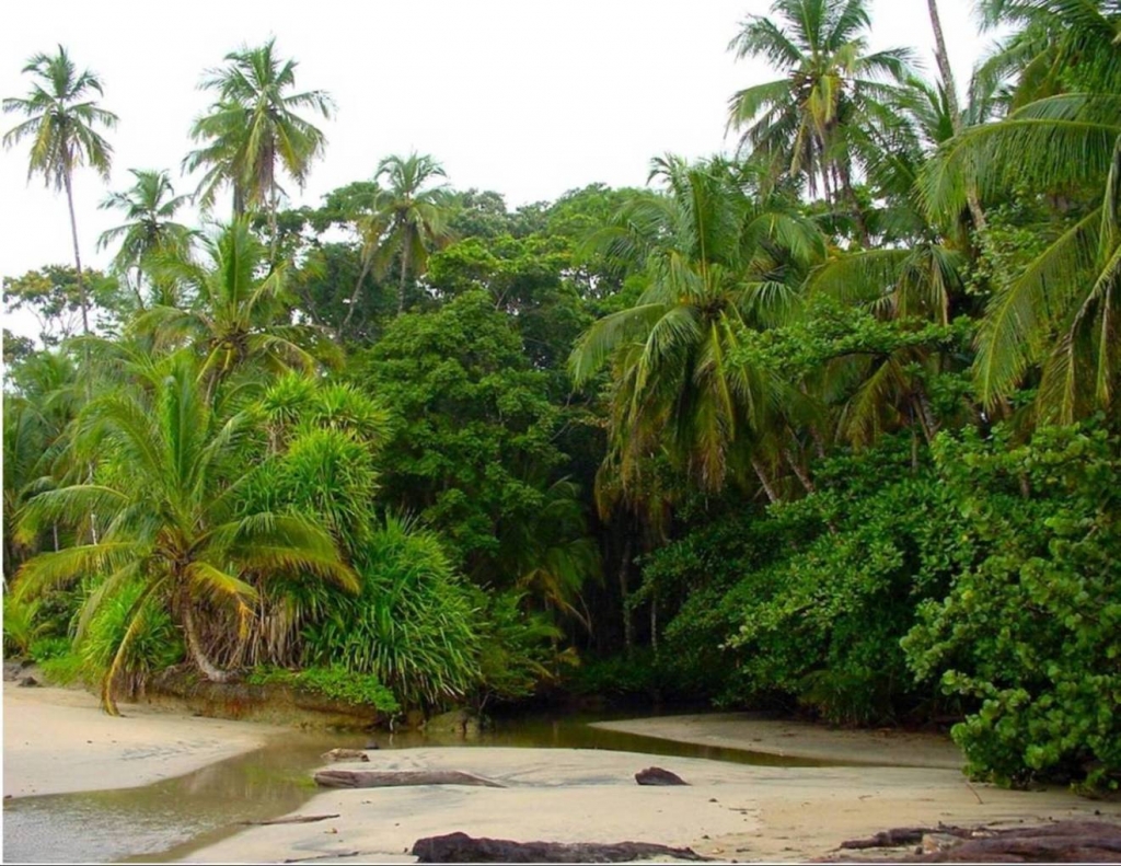 Foto de Talamanca (Limón), Costa Rica