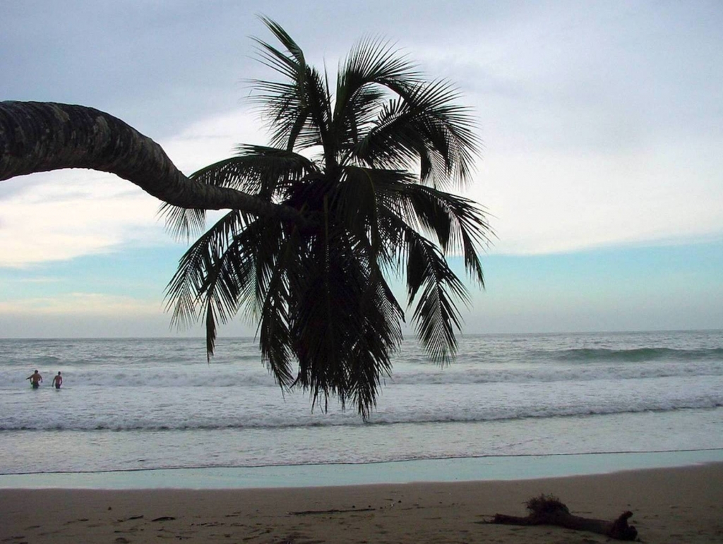 Foto de Talamanca (Limón), Costa Rica
