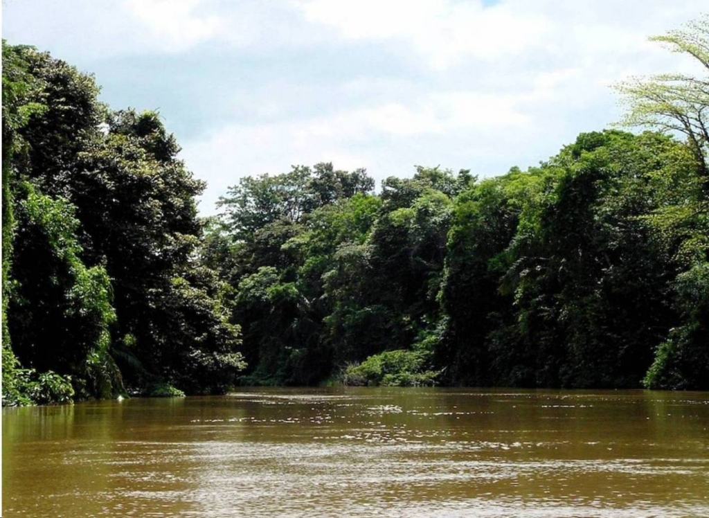Foto de Rio Frio (Alajuela), Costa Rica