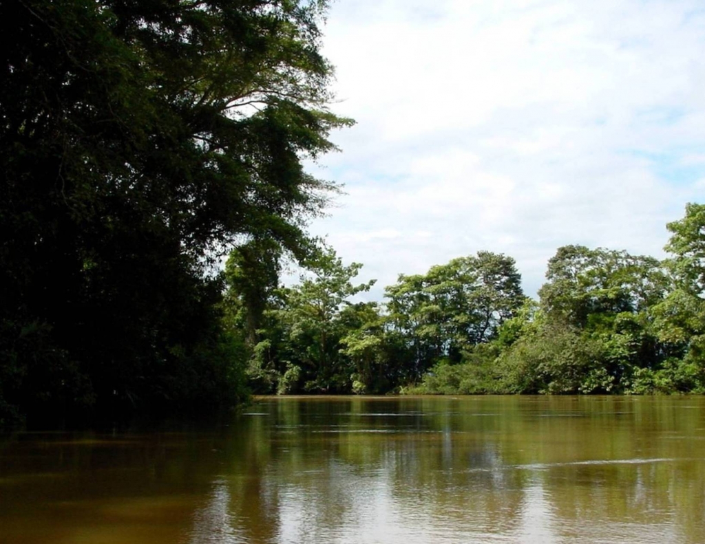 Foto de Rio Frio (Alajuela), Costa Rica