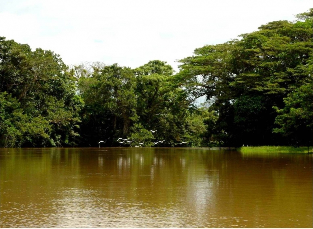 Foto de Rio Frio (Alajuela), Costa Rica