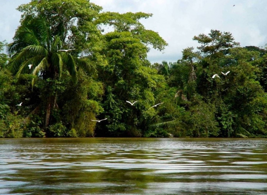 Foto de Rio Frio (Alajuela), Costa Rica