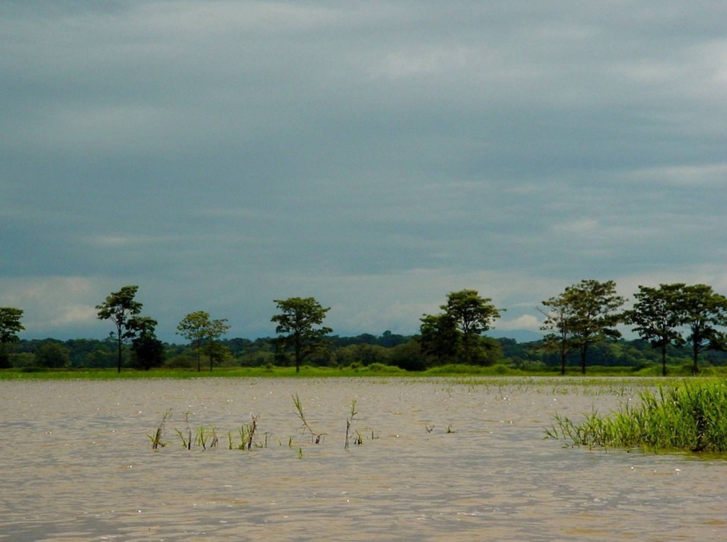 Foto de Rio Frio (Alajuela), Costa Rica