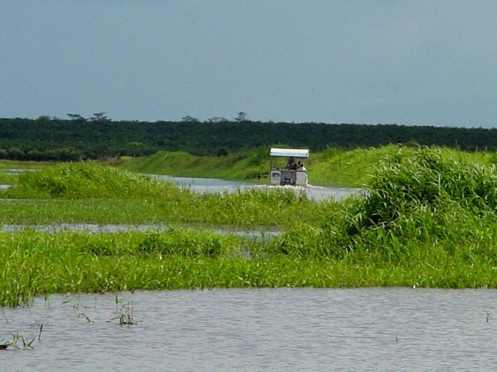 Foto de Rio Frio (Alajuela), Costa Rica