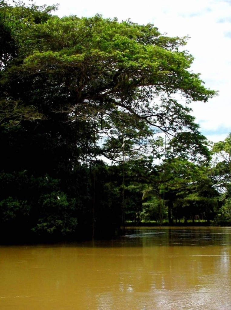 Foto de Rio Frio (Alajuela), Costa Rica