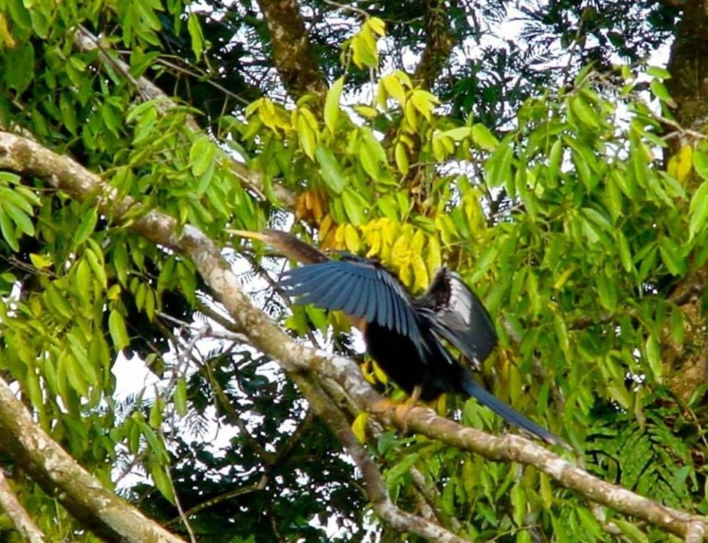 Foto de Heredia, Costa Rica