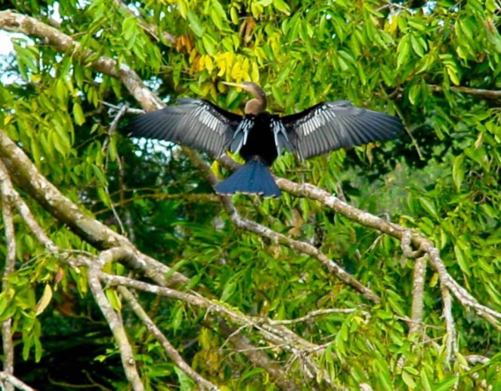 Foto de Heredia, Costa Rica